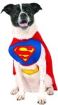 Rubies Official Superman Pet Costume (Small)
