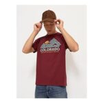 Rust Colorado Graphic T-Shirt
