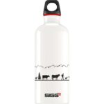 SIGG Traveller Aluminium Water Bottle