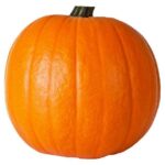 Sainsburys Carving Pumpkin – Nectar Price