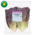 Sainsburys Cos Lettuce, Mini Red x2 – Nectar Price