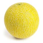 Sainsburys Galia Melon – nectar card
