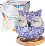 Scented Candles Gifts for Women, Owl Gift for Birthday/Christmas