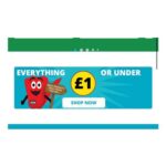 Shop Everything £1 and Under