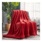 Solid Plush Luxury Flannel Blanket (150x200cm) – Red
