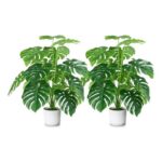 Sour Lemon 28-Inch 2-Pack Indoor-Outdoor Artificial Palm & Monstera Plants