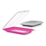 TATAY Cold Cuts Container, Standard 17×3.2×25.2 Cm, BPA-Free, Removable Lid