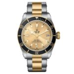 TUDOR Black Bay S&G 41mm Automatic Mens Watch