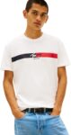 Tommy Jeans Mens TJM Reg Signature Stripe T Ext Dm0dm22539 S/S T-Shirt (Pack of 1)