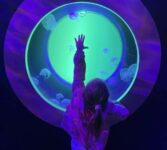 VIP Tour of Sea Life Scarborough for up to 6 People