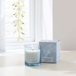 Wisteria Garden Candle 40 Hours Burn Time – Free C&C