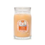 Yankee Candle Slopeside Spritz Signature Large Jar Candle