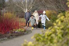 Year of RHS Membership for 2 adult or Adult and 2 Children
