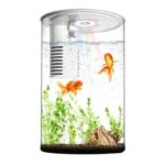 Zingbabu 3-Gallon Aquarium Starter Kit with Light & Filter, White