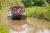 1-Day Canal Boat Hire for Up to 10 People – 11 UK Locations – ABC Boat Hire