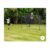 10ft X 6ft Metal Football Goal M9