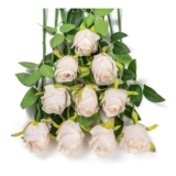 10pcs Artificial Silk Roses, Long Stem, Beige Centerpieces