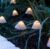 12 Mini Mushroom Solar Stake Lights