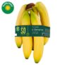 1/2 Price Organic Event (e.g 6 x Fairtrade Organic Bananas x6 95p / Spring Onions 60p / Onions 750g 83p /Carrots 700g 67p / Kiwi 4 Pack 90p)