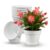 15cm/6-in Plant Pots Indoor 8 Pack Plastic Flower Pots with Drainage Holes