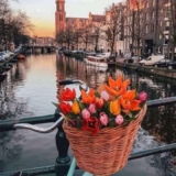 2 night 4 star Amsterdam city break with return flights from London £139pp 31 Aug (3 nts £20 extra pp)