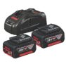 2 x Bosch 5Ah Li-Ion CoolPack Battery Rapid Charger – Free C&C