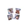 24 Animal Image Christmas Cards Multipack