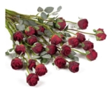 24pcs Silk Roses with Long Stems – Vintage Red