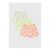 3 Pack Baby Green Holiday Shorts (Newborn-23mths)