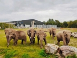 40% off Blackpool Zoo Tickets 18th July – 31st December with code
