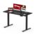 60 Electric Standing ONE PIECE Desktop Height Adjustable Desk