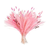 99 Pcs Dried Boho Floral Set with Pampas Grass