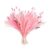 99 Pcs Dried Boho Floral Set with Pampas Grass