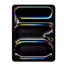 APPLE 13 Refurbished iPad Pro M5 (2025) – 256 GB, Black (Excellent Condition)