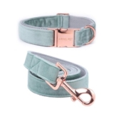 ARING PET Green Velvet Dog Collar and Leash Set, Small