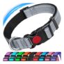 ATETEO Reflective Adjustable Dog Collar with Soft Neoprene Padding