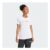 Adidas Terrex Multi Climacool Logo Tech T-Shirt