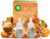 Air Wick Pumpkin Spice & Everything Nice Electrical Plug-in Twin Refill 2 x 19ml Pack of 1 Infused with Natural Essential Oils