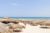 All-inclusive 4star Egypt week for a fabulous price. 29-jan – 5 feb. Flights from luton. Paradise Abu Soma Resort. Based on two adults