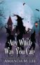 Amanda M. Lee – Any Witch Way You Can (Wicked Witches of the Midwest Book 1) – Kindle Edition