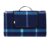 Amazon Basics Picnic Travel Blanket with Waterproof Backing, 200x200cm, Blue/White