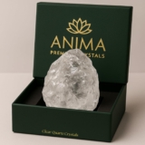 Anima Clear Quartz Crystal Large 4-5cm Natural Raw Clear Quartz Stone for Clarity, Energy & Amplification Ethically Sourced, Presented in Elegant Gift Box