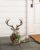 Antiqued Gold Sitting Deer