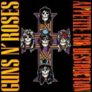 Appetite for Destruction Guns N Roses Vinyl