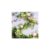 Argos Home Floral and Egg Easter Garland