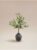Artificial Olive Plant In Black Pot – Free C&C