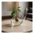 Avocado Vase