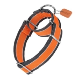 Axdvk Martingale Collar 4cm 1600D No-Pull, 3-Color Stripe