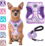 BEAUTYZOO Small Dog Harness and Leash Set,No Pull Puppy Pet Vest-Floral,2XS
