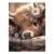BEAYIOU Highland Cow Cross Stitch Kit, 12x16in